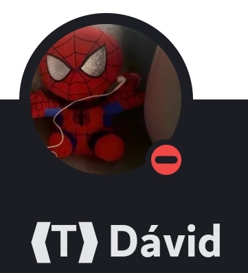 A tulajdonos: Dávid 